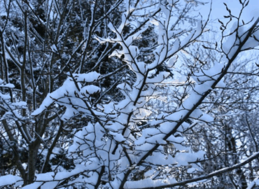 Geen jeugdtraining dd. 06 + 08/01