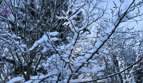 Geen jeugdtraining dd. 06 + 08/01